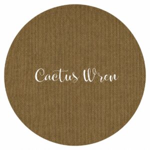Cactus Wren by Fox & Rabbit