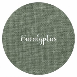 Eucalyptus by Fox & Rabbit
