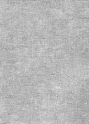 Mizzle by Seraphim Hand Dyed Fabric