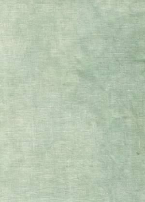 October Mist by Seraphim Hand Dyed Fabric
