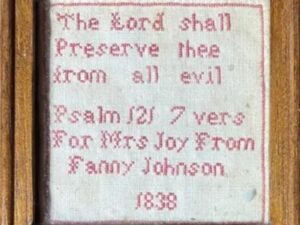 Fanny Johnson 1838 by NeedleWork Press